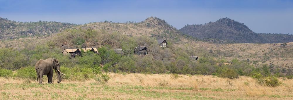 Tshukudu Bush Lodge Ledig Εξωτερικό φωτογραφία