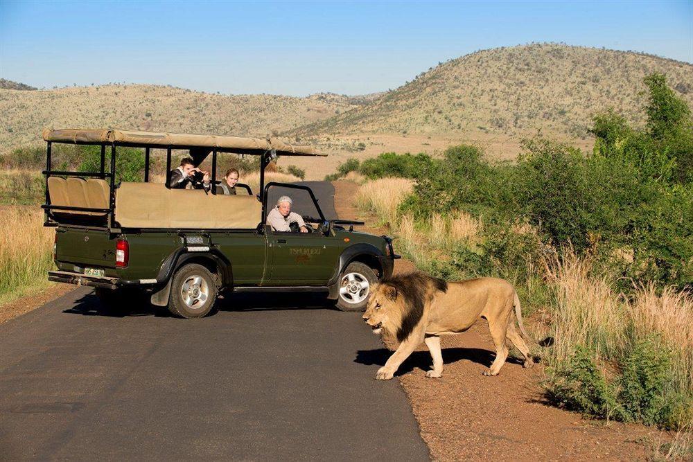 Tshukudu Bush Lodge Ledig Εξωτερικό φωτογραφία